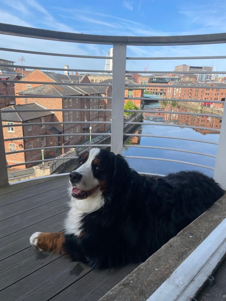 Otto hogging the balcony